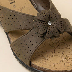 Doctor Flats